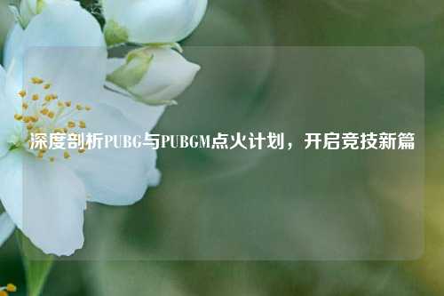 深度剖析PUBG与PUBGM点火计划,开启竞技新篇