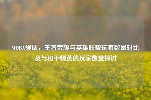 MOBA领域,王者荣耀与英雄联盟玩家数量对比及与和平精英的玩家数量探讨