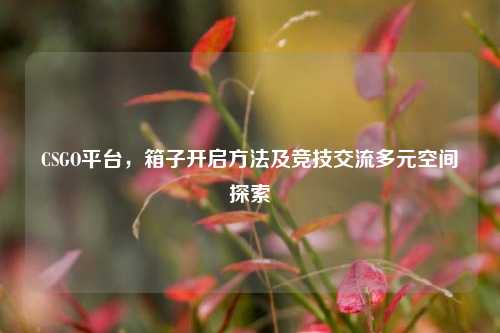 CSGO平台,箱子开启方法及竞技交流多元空间探索