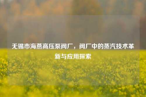 无锡市海燕高压泵阀厂,阀厂中的蒸汽技术革新与应用探索