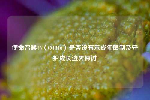 使命召唤16(COD16)是否设有未成年限制及守护成长边界探讨