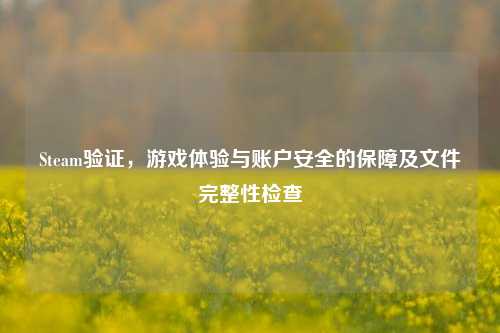 Steam验证,游戏体验与账户安全的保障及文件完整性检查