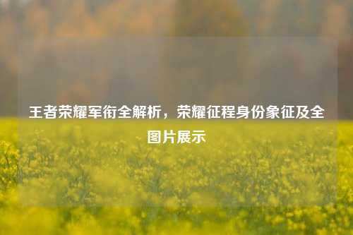 王者荣耀军衔全解析,荣耀征程身份象征及全图片展示