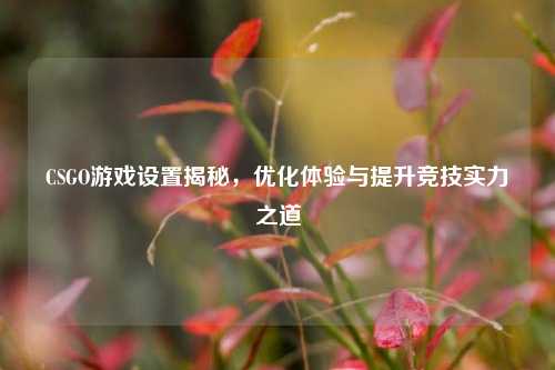 CSGO游戏设置揭秘,优化体验与提升竞技实力之道