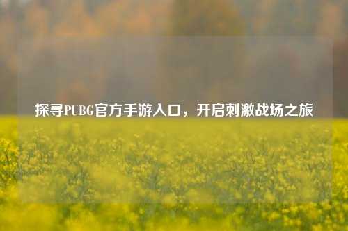 探寻PUBG官方手游入口,开启刺激战场之旅