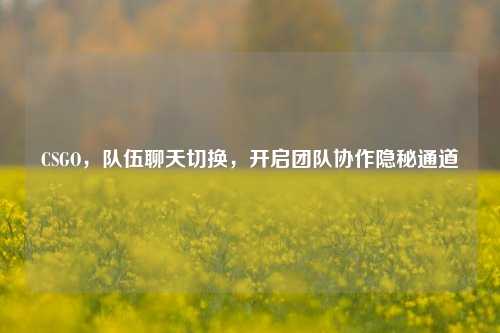CSGO,队伍聊天切换,开启团队协作隐秘通道