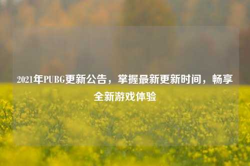 2021年PUBG更新公告,掌握最新更新时间,畅享全新游戏体验