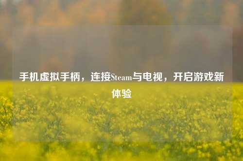 手机虚拟手柄,连接Steam与电视,开启游戏新体验