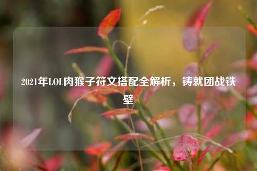 2021年LOL肉猴子符文搭配全解析,铸就团战铁壁