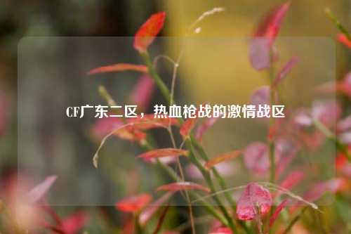 CF广东二区,热血枪战的激情战区