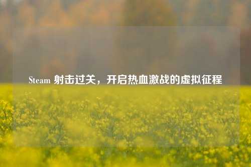 Steam 射击过关,开启热血激战的虚拟征程