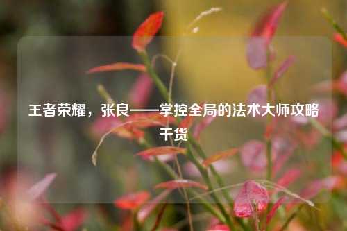 王者荣耀,张良——掌控全局的法术大师攻略干货