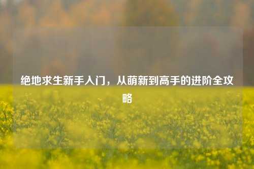 绝地求生新手入门,从萌新到高手的进阶全攻略