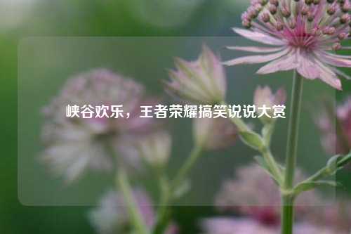 峡谷欢乐,王者荣耀搞笑说说大赏