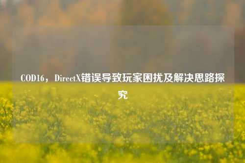 COD16,DirectX错误导致玩家困扰及解决思路探究