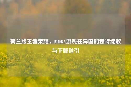 荷兰版王者荣耀,MOBA游戏在异国的独特绽放与下载指引