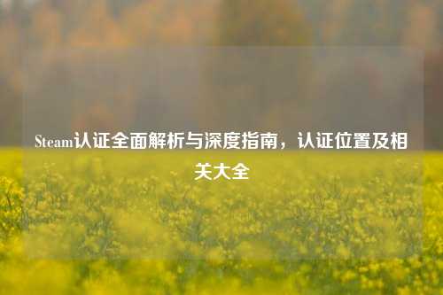 Steam认证全面解析与深度指南，认证位置及相关大全