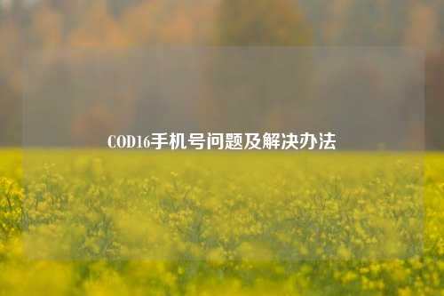 COD16手机号问题及解决办法