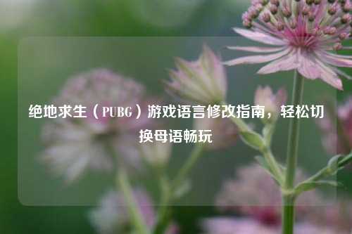 绝地求生(PUBG)游戏语言修改指南,轻松切换母语畅玩