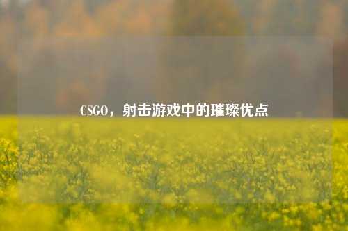 CSGO,射击游戏中的璀璨优点