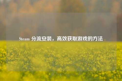 Steam 分流安装,高效获取游戏的方法