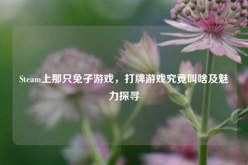 Steam上那只兔子游戏,打牌游戏究竟叫啥及魅力探寻