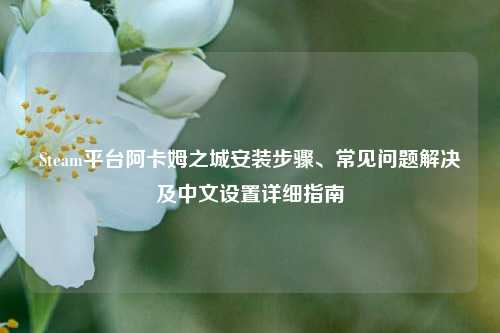 Steam平台阿卡姆之城安装步骤、常见问题解决及中文设置详细指南