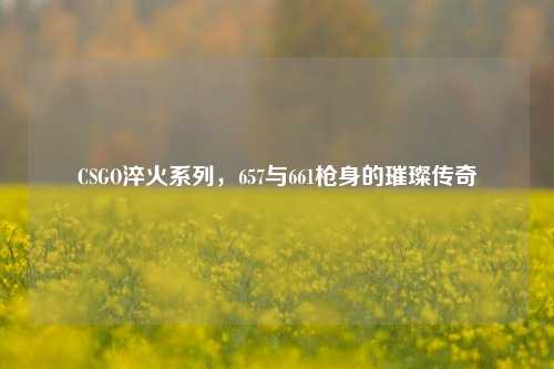 CSGO淬火系列,657与661枪身的璀璨传奇