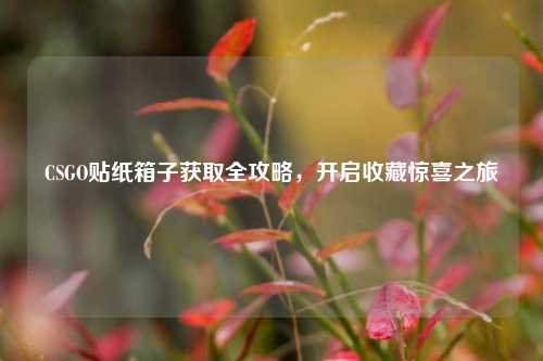 CSGO贴纸箱子获取全攻略,开启收藏惊喜之旅