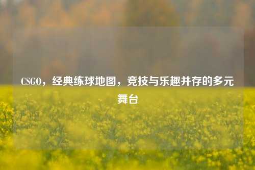 CSGO,经典练球地图,竞技与乐趣并存的多元舞台