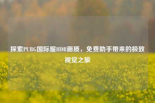 探索PUBG国际服HDR画质,免费助手带来的极致视觉之旅