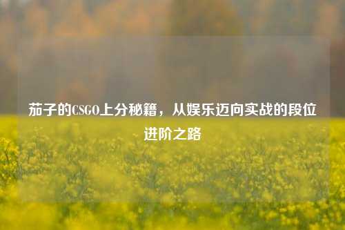 茄子的CSGO上分秘籍,从娱乐迈向实战的段位进阶之路