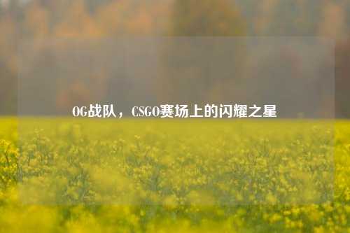 OG战队,CSGO赛场上的闪耀之星