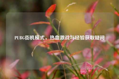 PUBG街机模式,热血激战与经验获取疑问