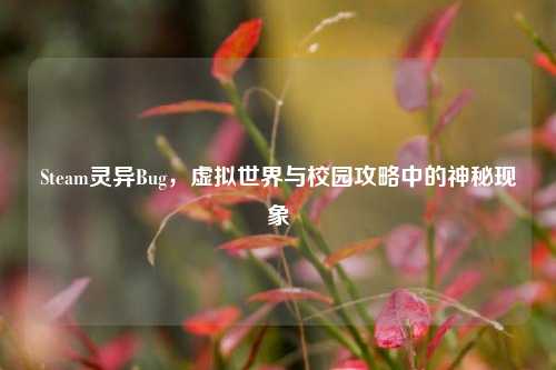 Steam灵异Bug,虚拟世界与校园攻略中的神秘现象