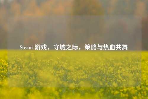 Steam 游戏,守城之际,策略与热血共舞