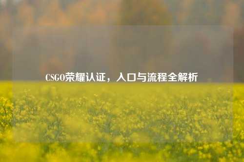 CSGO荣耀认证,入口与流程全解析