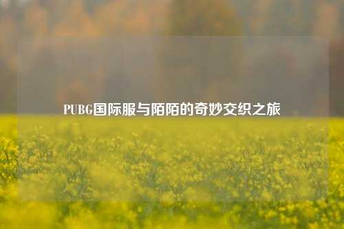 PUBG国际服与陌陌的奇妙交织之旅