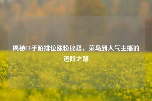揭秘CF手游排位涨粉秘籍,菜鸟到人气主播的进阶之路