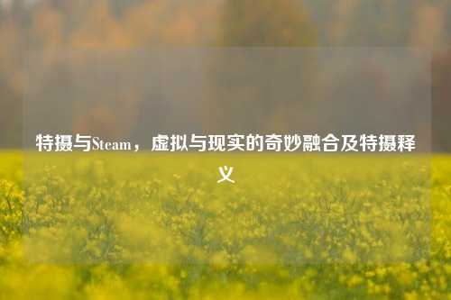特摄与Steam,虚拟与现实的奇妙融合及特摄释义