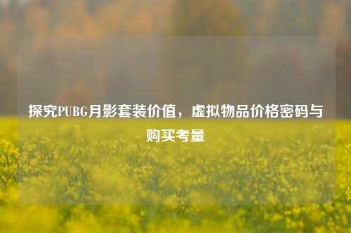 探究PUBG月影套装价值,虚拟物品价格密码与购买考量