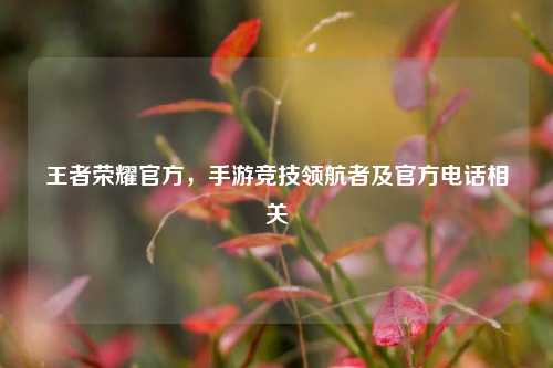 王者荣耀官方,手游竞技领航者及官方电话相关
