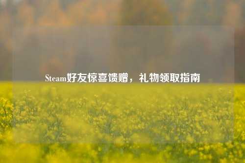 Steam好友惊喜馈赠,礼物领取指南
