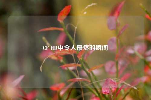 CF HD中令人最疼的瞬间