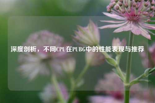 深度剖析,不同CPU在PUBG中的性能表现与推荐