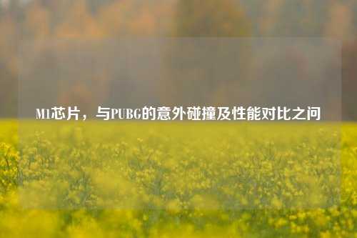 M1芯片,与PUBG的意外碰撞及性能对比之问