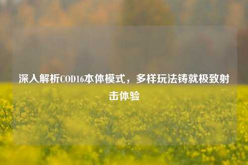 深入解析COD16本体模式,多样玩法铸就极致射击体验