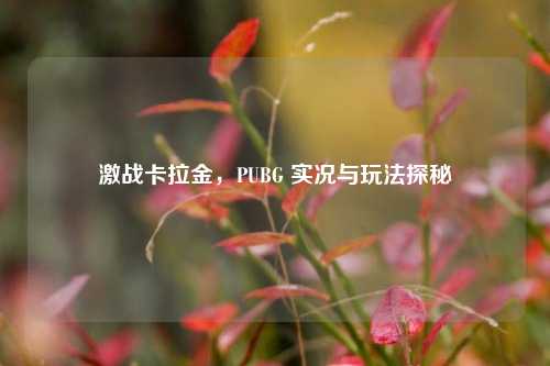 激战卡拉金,PUBG 实况与玩法探秘