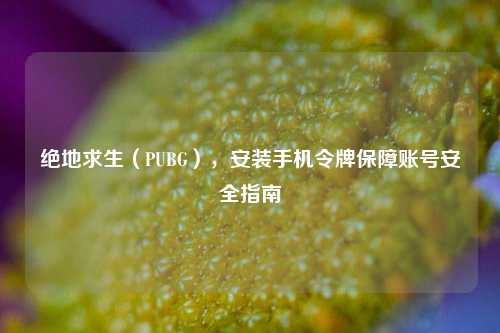 绝地求生(PUBG),安装手机令牌保障账号安全指南