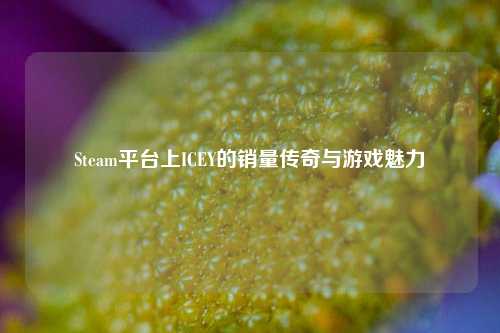 Steam平台上ICEY的销量传奇与游戏魅力